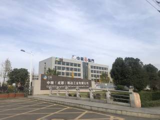 中粮粮油4T燃气蒸汽锅炉