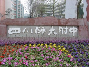 四川师范大学附属中学2台热水锅炉
