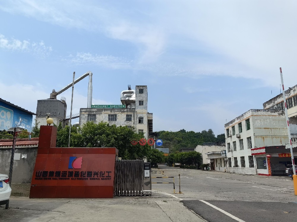 蓉兴化工4t全预混蒸汽锅炉