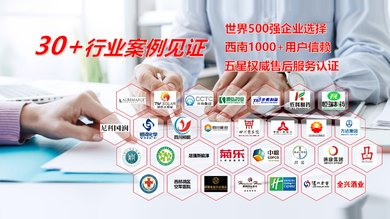 30+行业案例见证